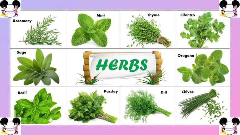 Best Chinese Herb for High Blood Pressure in 2025
