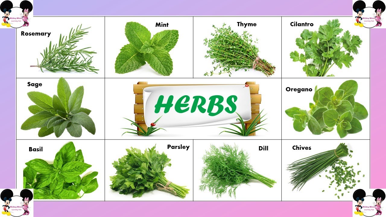 Best Chinese Herb for High Blood Pressure in 2025