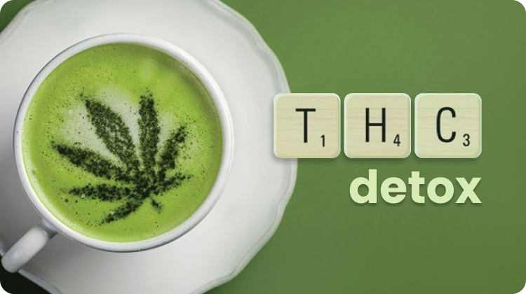 THC Detox Drinks 2025